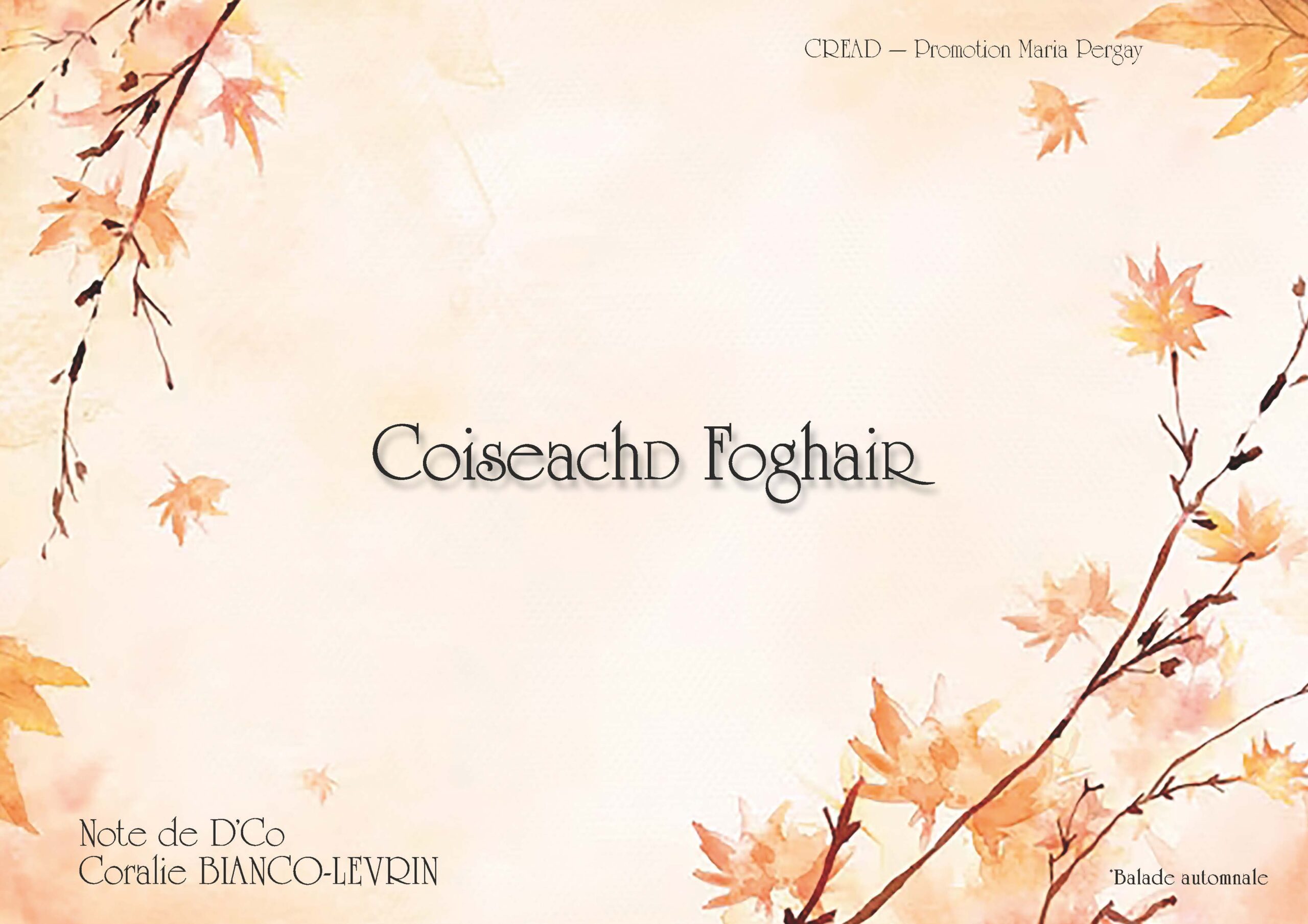 Projet appartement Lyon_Page_01